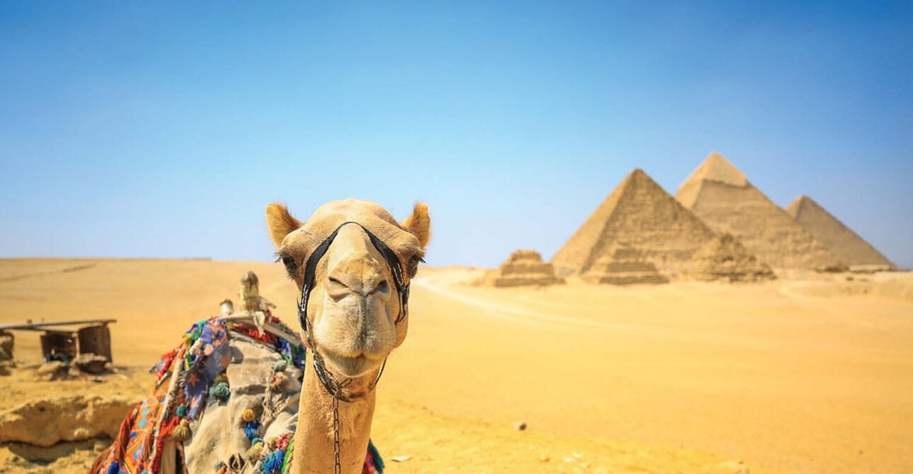 Adventure Awaits A Guide to Egypt’s Best Outdoor Activities