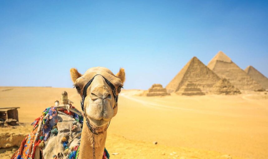 Adventure Awaits A Guide to Egypt’s Best Outdoor Activities